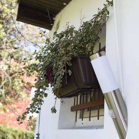 Taxis فندق براتسيلافا